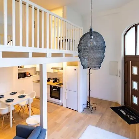 Duplex Spacieux Au Calme * ストラスブール